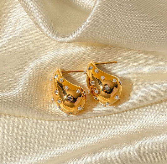 Botega Zircon Studded Earrings