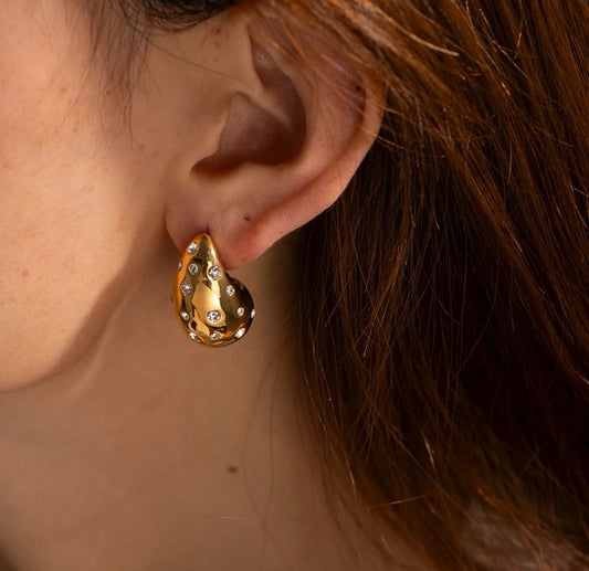 Botega Zircon Studded Earrings