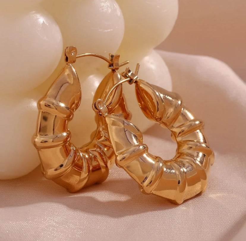 Dior fashion earrings hoops